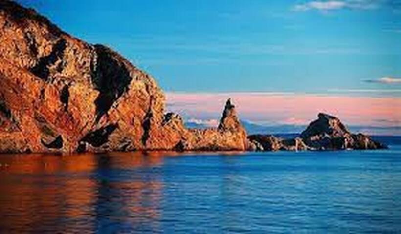 Halekulani Devon Homestay Торки Экстерьер фото