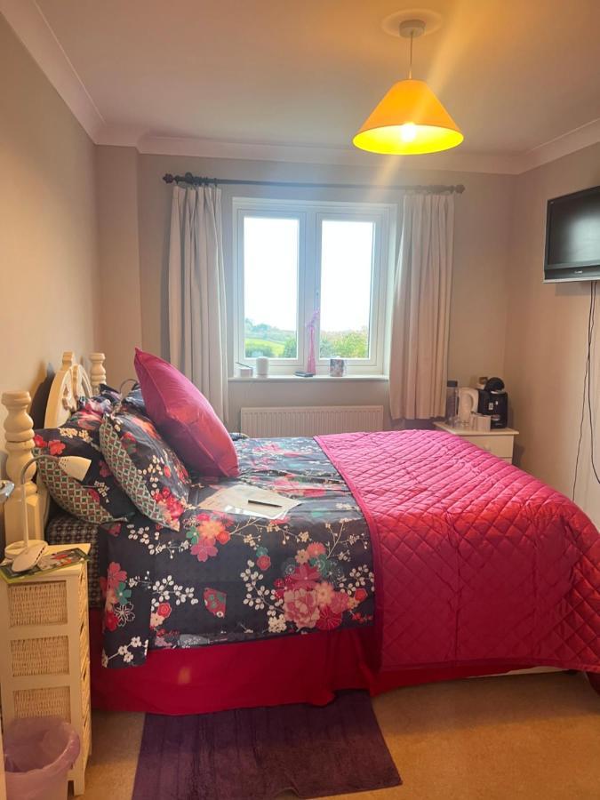 Halekulani Devon Homestay Торки Экстерьер фото